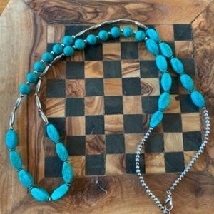 NWOT Long Silver and Turquoise Necklace